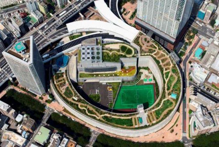 Nghe chuyên gia du lịch chia sẻ 5 NÊN chuẩn không cần chỉnh khi du lịch Nhật Bản-1