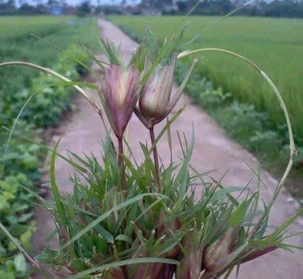 Cả một trời thương nhớ tuổi thơ ùa về khi xem xong những hình ảnh này-9