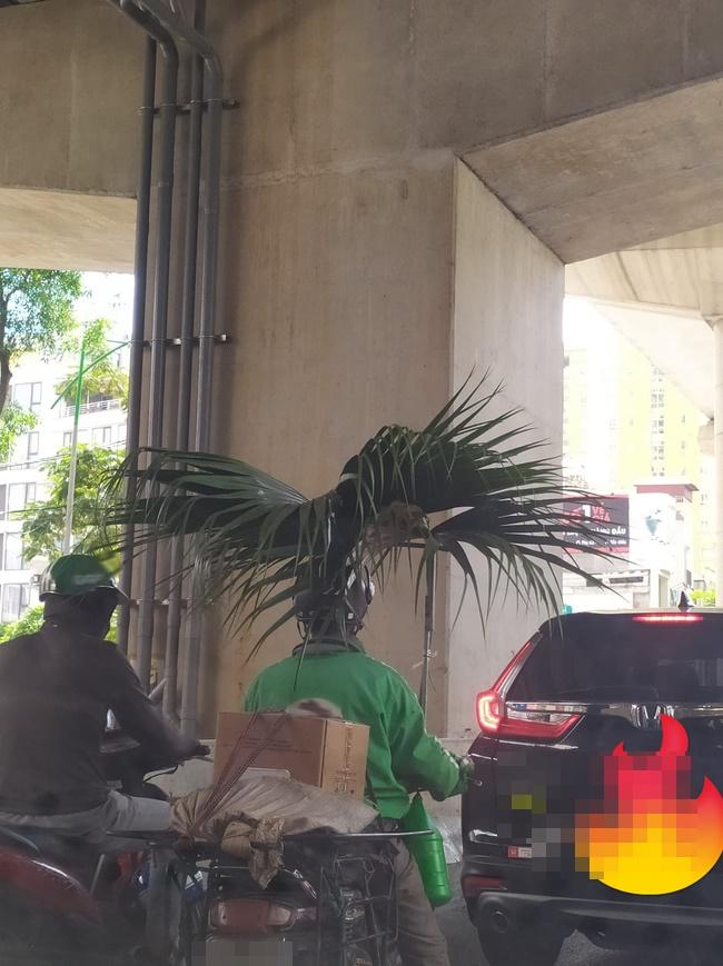 Cách đối phó nắng cháy da thịt của người đàn ông lớn tuổi khiến ai cũng phải ngước nhìn-1