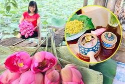 Tìm về phong vị thanh tao của đất Hà Thành qua cách làm và ướp trà sen Tây Hồ