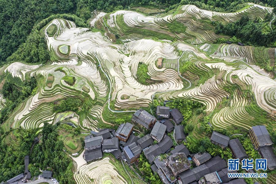 Mê đắm trước vẻ đẹp của những thửa ruộng bậc thang mùa hè tại miền sơn cước Trung Hoa-1