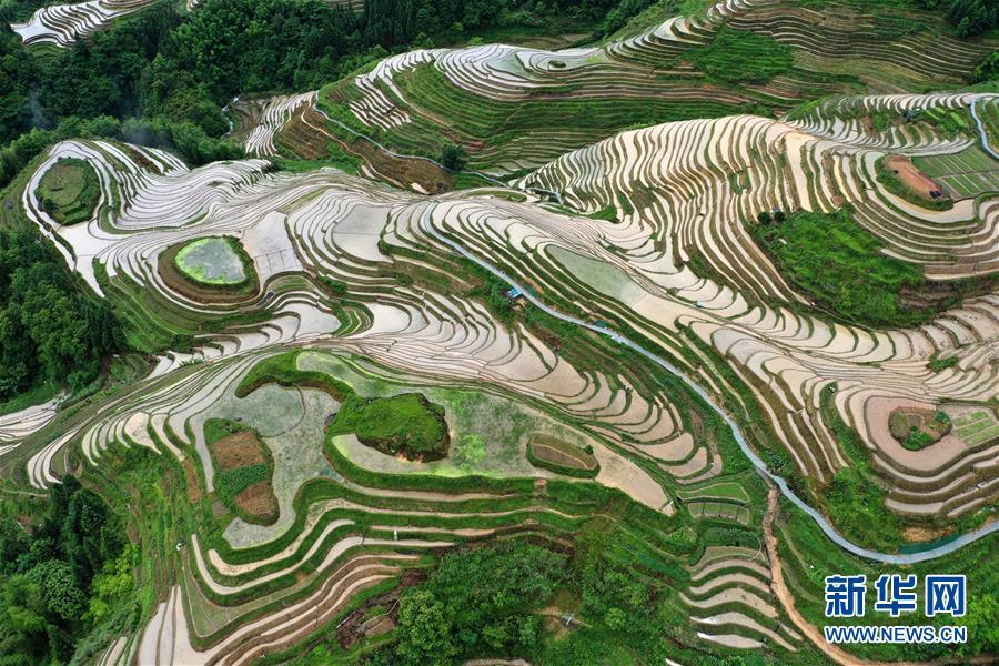 Mê đắm trước vẻ đẹp của những thửa ruộng bậc thang mùa hè tại miền sơn cước Trung Hoa-2