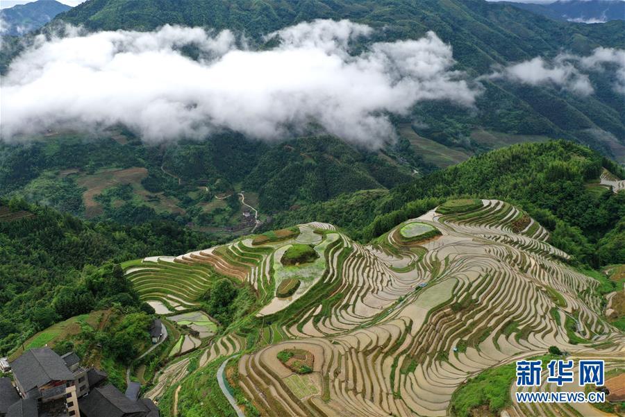 Mê đắm trước vẻ đẹp của những thửa ruộng bậc thang mùa hè tại miền sơn cước Trung Hoa-4