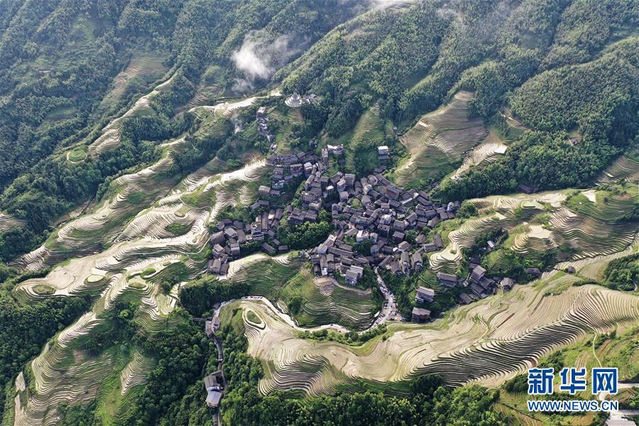 Mê đắm trước vẻ đẹp của những thửa ruộng bậc thang mùa hè tại miền sơn cước Trung Hoa-6