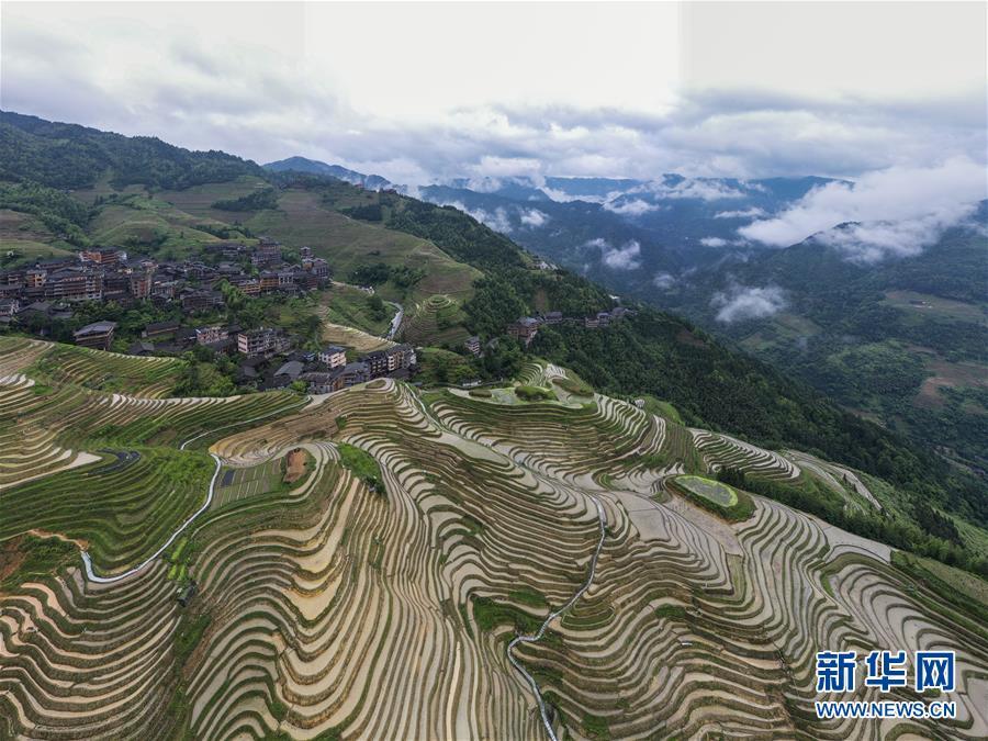 Mê đắm trước vẻ đẹp của những thửa ruộng bậc thang mùa hè tại miền sơn cước Trung Hoa-3