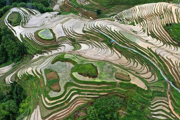 Dưỡng trắng 3 năm, cháy 1 giờ của những con giời trở về sau mùa du lịch-8