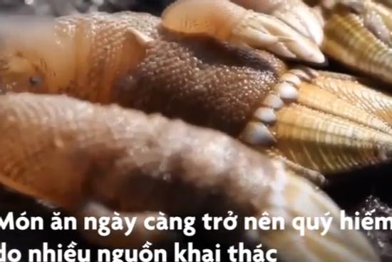 Nghề khai thác đặc sản ngón tay quỷ ở Trung Quốc