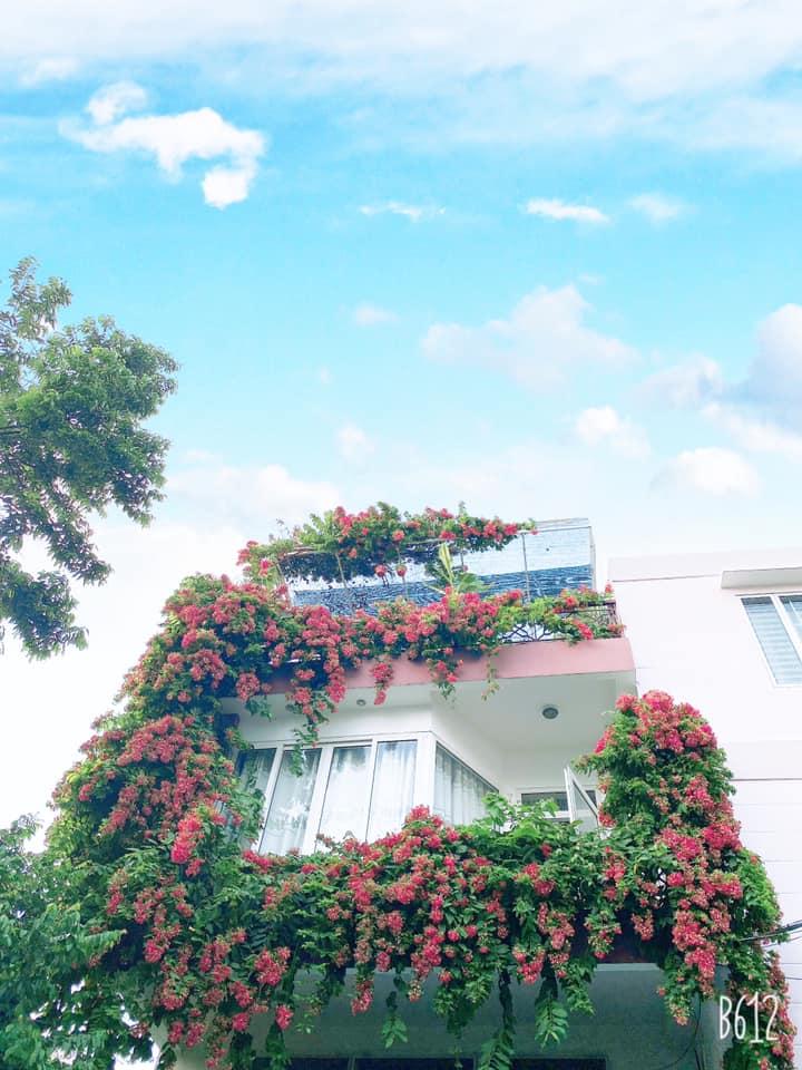 Ngẩn ngơ ngắm những ngôi nhà có giàn hoa tím đẹp mộng mơ-6