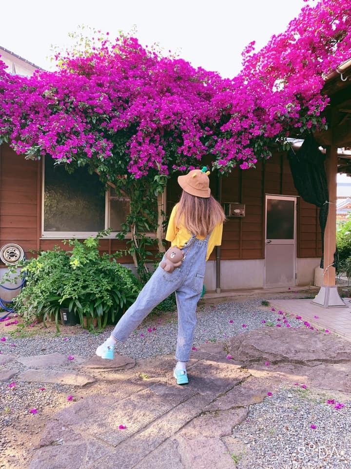 Ngẩn ngơ ngắm những ngôi nhà có giàn hoa tím đẹp mộng mơ-9