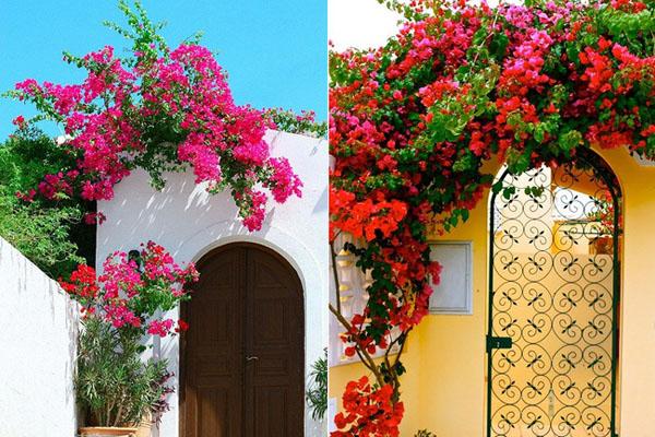 Mũi Né đẹp hoang sơ dưới góc máy từ trên cao-1