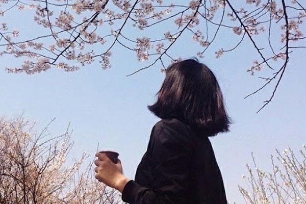 Phúc - họa, giàu - nghèo từ hình dáng mảnh đất mà ra-3