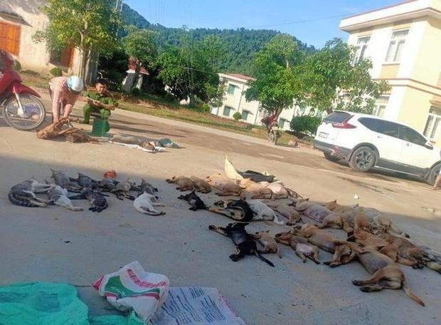 Bắt đôi nam nữ trộm 30 con chó, mèo trong đêm-3