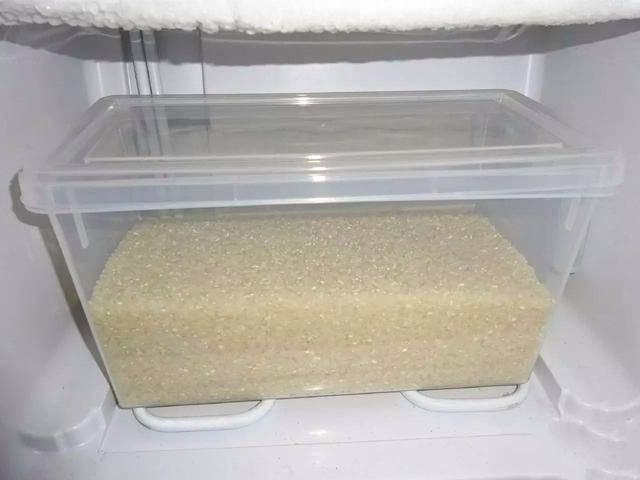 Mua nhiều gạo về, cho ngay thứ này vào đảm bảo không mốc, mọt để được cả năm-1