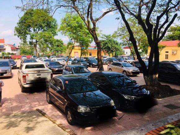 Dàn ô tô đắt tiền sương sương đi họp phụ huynh khiến dân tình chóng mặt-1