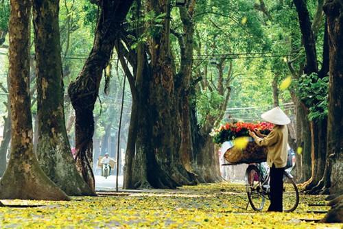 Cảm xúc ùa về với 15 con đường đặc sản Hà Nội, đi xa mấy cũng nhớ nao lòng-1