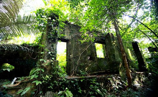 Những công trình bị bỏ hoang tại Việt Nam không dành cho team yếu bóng vía-9