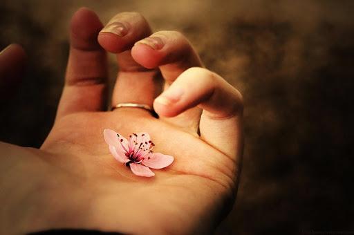 3 cung Hoàng đạo sẵn sàng vứt bỏ tình yêu vì sự nghiệp-2