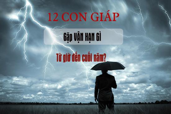 Vận hạn của 12 con giáp nửa cuối năm 2020: Ai phải lĩnh đủ xui xẻo?