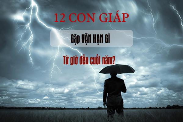 Vận hạn của 12 con giáp nửa cuối năm 2020: Ai phải lĩnh đủ xui xẻo?-3
