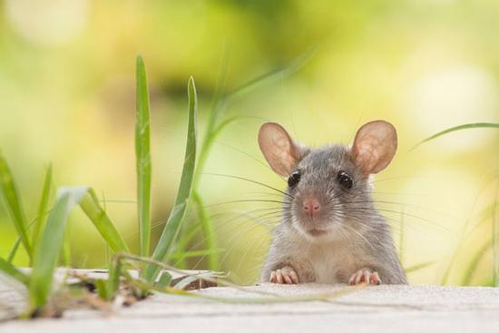 Top con giáp muốn đặt cả thế giới vào mắt mình bằng cách đi du lịch