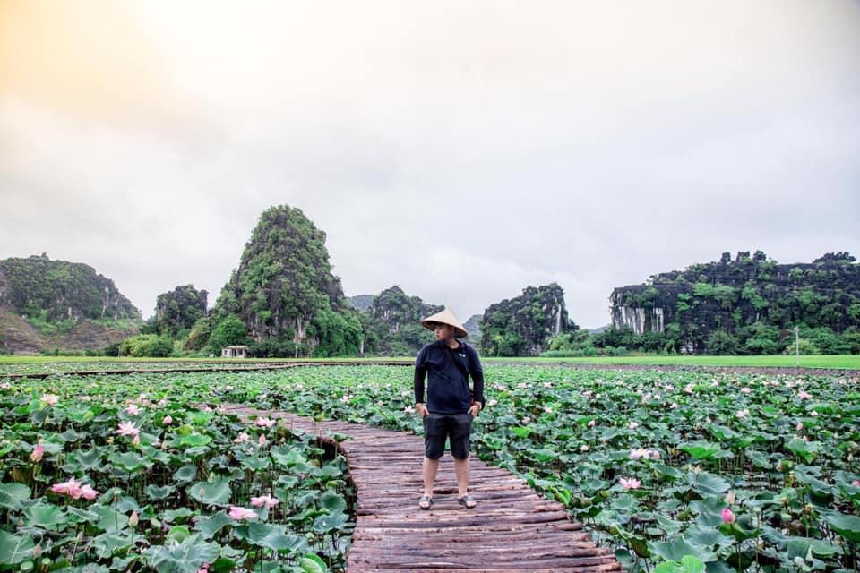 Đầm sen khoe sắc ở Ninh Bình khiến dân tình nhốn nháo đến check-in-2