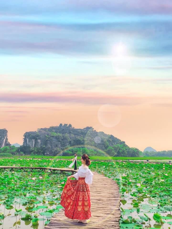 Đầm sen khoe sắc ở Ninh Bình khiến dân tình nhốn nháo đến check-in-3