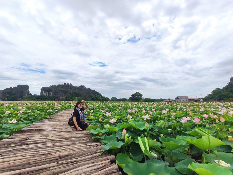 Đầm sen khoe sắc ở Ninh Bình khiến dân tình nhốn nháo đến check-in-5