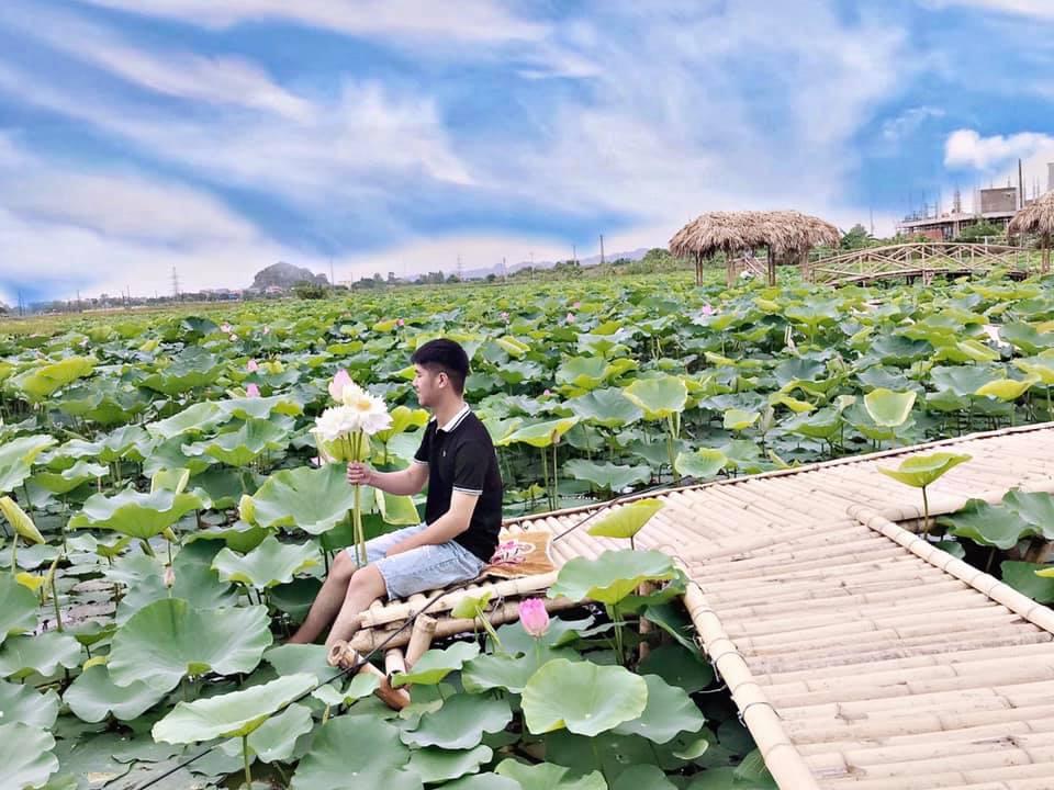 Đầm sen khoe sắc ở Ninh Bình khiến dân tình nhốn nháo đến check-in-6