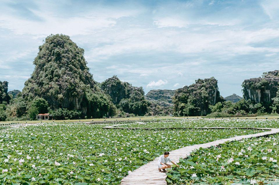 Đầm sen khoe sắc ở Ninh Bình khiến dân tình nhốn nháo đến check-in-8