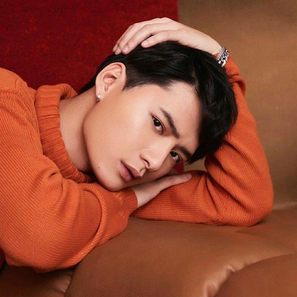 Chân dung nam thần phim đam mỹ bị tẩy chay vì kỳ thị đồng tính-2