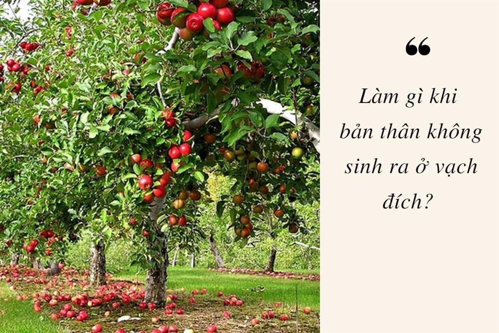 Tư duy về quả táo quyết định ai sắp phất lên giàu sang, ai còn quẩn quanh trong chật vật-1