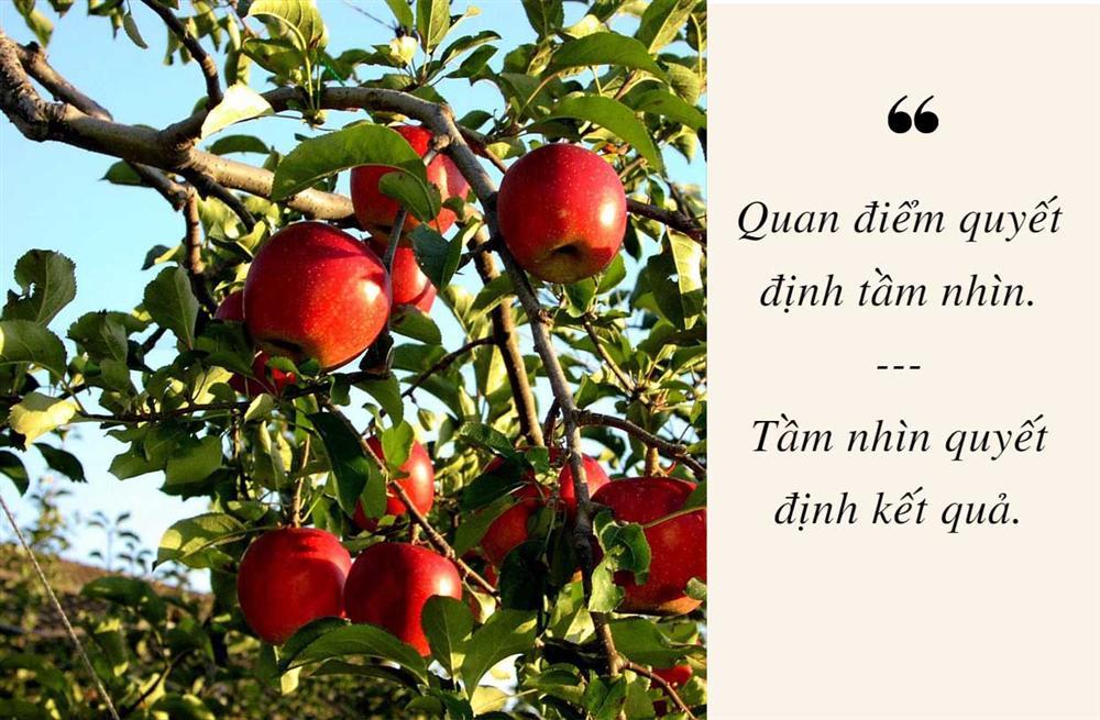 Tư duy về quả táo quyết định ai sắp phất lên giàu sang, ai còn quẩn quanh trong chật vật-2