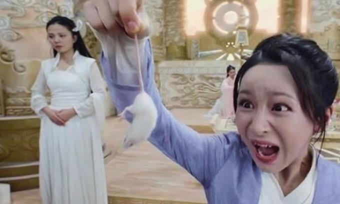 Sao Hoa ngữ đóng phim với chuột, hổ thật-3