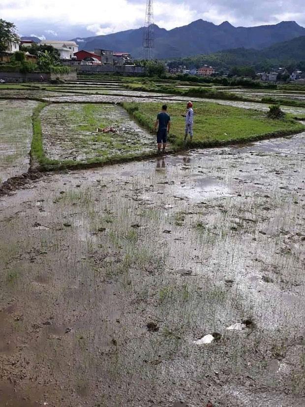 Thảm án Điện Biên: Nổi điên trong lúc đòi nợ, sát nhân chém chết 3 người-2