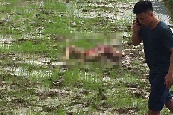 NÓNG: Thảm án Điện Biên, 3 nạn nhân tử vong trên người nhiều vết chém-3