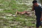 NÓNG: Thảm án Điện Biên, 3 nạn nhân tử vong trên người nhiều vết chém