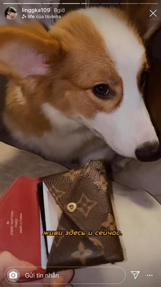 Linh Ka mắng xối xả thủ phạm phá hoại chiếc ví hàng hiệu-1