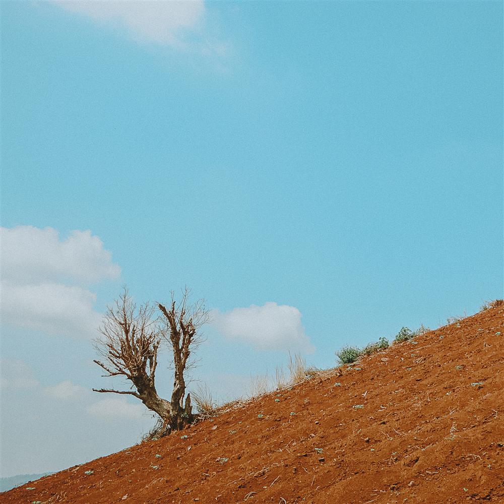 Khoảng xanh bình yên của những miền đất hứa qua mắt nhìn 9X-5