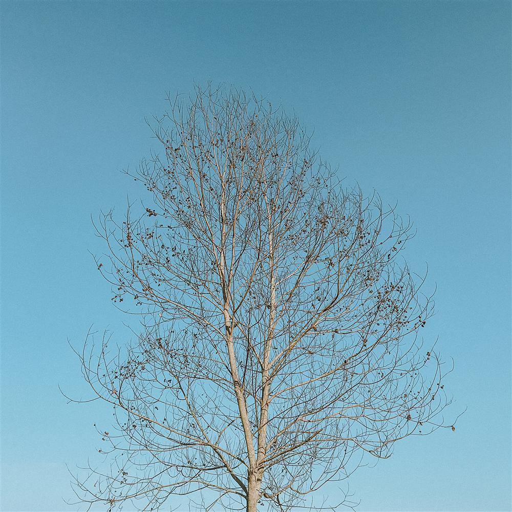 Khoảng xanh bình yên của những miền đất hứa qua mắt nhìn 9X-6