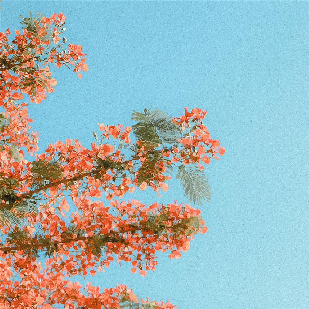 Khoảng xanh bình yên của những miền đất hứa qua mắt nhìn 9X-8