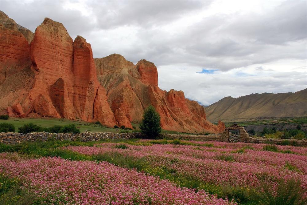 Vương quốc ẩn khuất trên dãy Himalaya, nơi phụ nữ lấy nhiều chồng-9