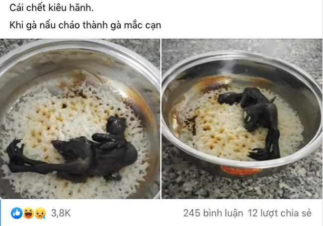 Nồi cháo gà mắc cạn làm dân mạng cười nghiêng ngả, không ăn cháo thì đành ăn cơm-1