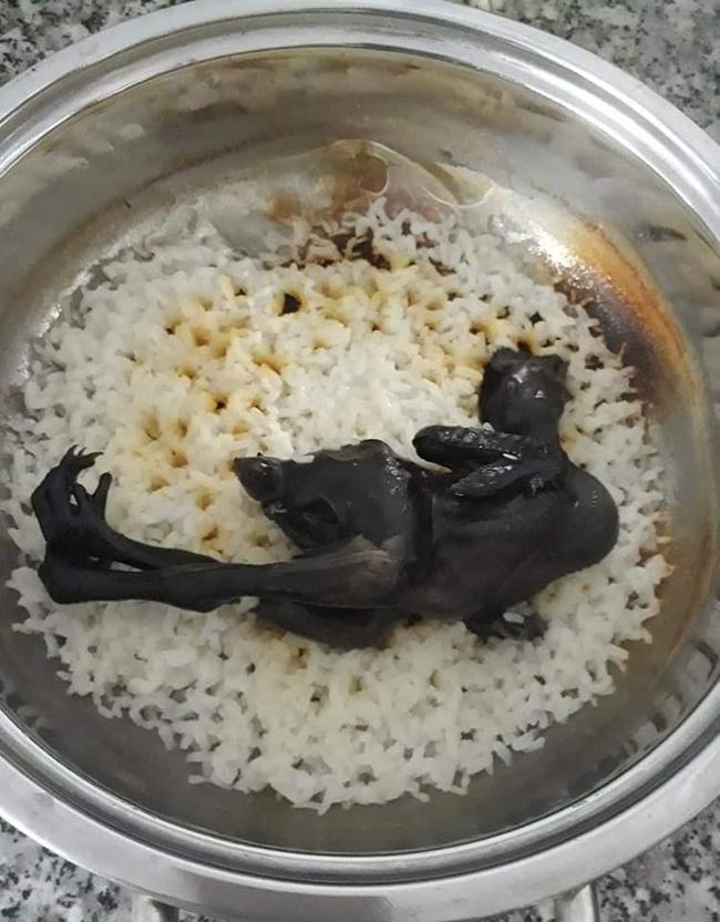 Nồi cháo gà mắc cạn làm dân mạng cười nghiêng ngả, không ăn cháo thì đành ăn cơm-2