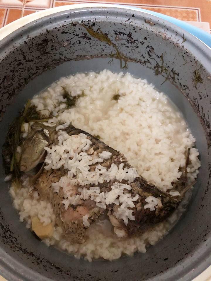 Nồi cháo gà mắc cạn làm dân mạng cười nghiêng ngả, không ăn cháo thì đành ăn cơm-7