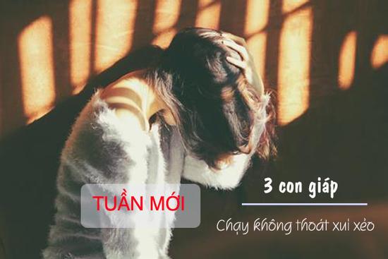Tuần mới thị phi bủa vây, 3 con giáp chạy cũng khó thoát vận đen