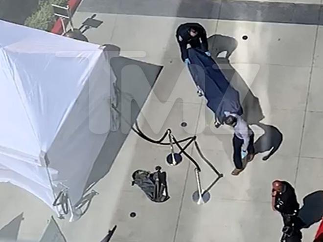 Ông trùm giải trí Hollywood nhảy lầu tự tử ở tuổi 55-1