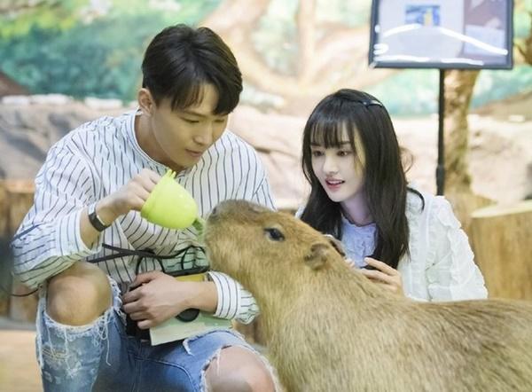 Bạn trai CEO lâm cảnh nợ nần sau khi chia tay Trịnh Sảng-2