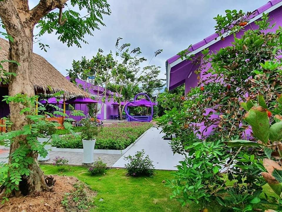 Dân mạng lùng sục căn nhà màu tím mộng mơ ở Cần Thơ-1