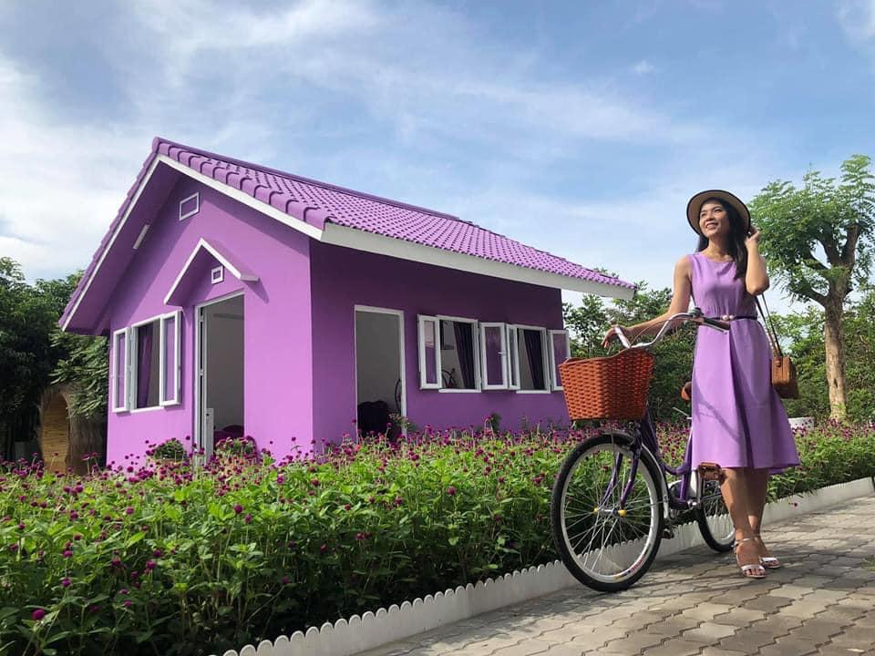 Dân mạng lùng sục căn nhà màu tím mộng mơ ở Cần Thơ-6