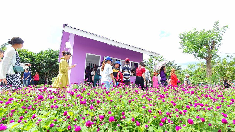 Dân mạng lùng sục căn nhà màu tím mộng mơ ở Cần Thơ-7